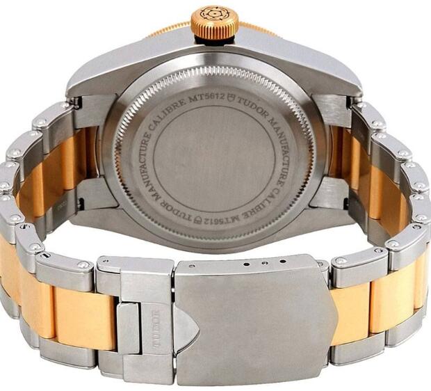 Tudor BLACK BAY S&G M79733N-0004 Replica Watch